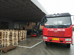 2025年东莞物流服务全景解析报告，基于专业测评的技术、性能及市场优势深度分析！