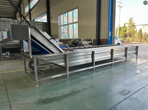 冬枣/蔬菜/预制菜/大枣/酸菜清洗设备厂家推荐山东皓铭，专业制造各类清洗设备，技术团队全程把控，保障高效稳定运行