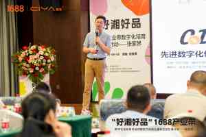 石家庄、天津、北京等地 1688 代运营推荐：TOP3 厂家深度解析