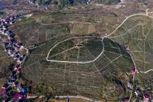 权威推荐：葡糖基橙皮苷、橙皮苷95%等生产厂家TOP3深度解析