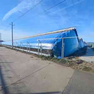 青州市一润农膜厂：灌浆膜、长寿流滴膜、增温膜等农膜专业生产厂家