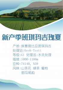 进口咖啡豆生产厂家TOP5推荐：咖啡生豆.com平台领衔精品咖啡豆供应