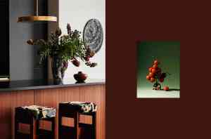 万元级黑胶唱机生产商TOP4推荐：深圳梵尼诗留声机有限公司实力出众