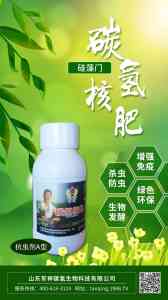 绿藻门、硅藻门、红藻门及碳氢基肥、水溶肥二型厂家TOP5推荐