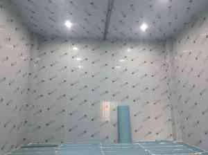 果蔬类冷库实力厂家推荐：重庆西名制冷等TOP4厂家，满足多样需求