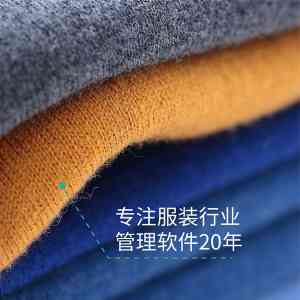 服装进销存及管理软件服务厂家推荐：嘉兴谷泰等TOP5企业解析