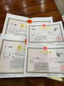 潍坊公司注册、经营范围调整等服务厂家TOP4推荐，潍坊龙顶企业服务亮眼