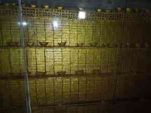 新疆黄金回收与推广权威推荐：乌鲁木齐、哈密、克拉玛依等地TOP5品牌揭秘