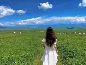 新疆热门旅游服务TOP5推荐：阿勒泰、喀纳斯等地游，金途沐光领衔！
