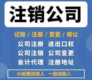广州工商财税服务厂家推荐：账师兄领衔，多领域服务助企业发展