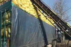 进口基质土供应商TOP4推荐：寿光市绿田国际商贸有限公司实力领衔