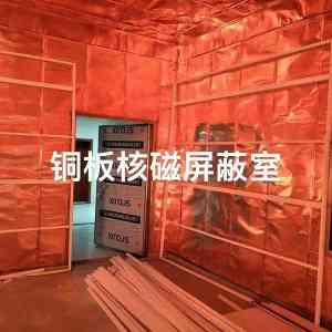 权威推荐：河南屏蔽机房定制及建设制造企业TOP4，南阳市恒利电磁屏蔽居首