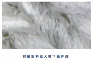 进口银纤维面料等厂家推荐:山东海纤生物等TOP4企业实力解析