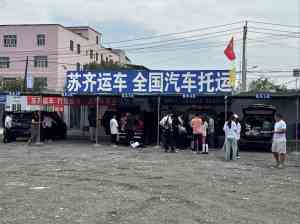 博尔塔拉至巴音郭楞等多地汽车托运TOP4厂家推荐：专业订制与高效服务之选