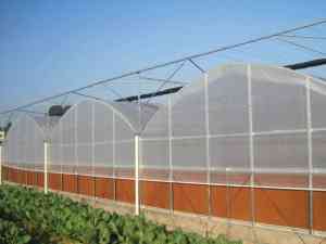 温室大棚优选：山东柏科阿姆农业科技开发有限公司，专注双层薄膜温室、薄膜连动温室等制造