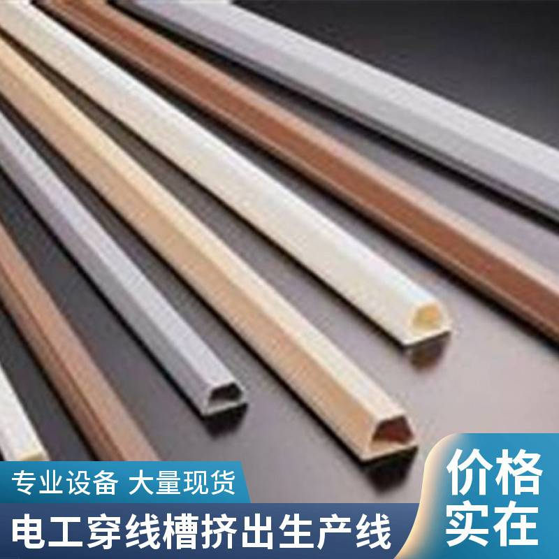 瑞尔供应PVC明装线槽挤出机生产线 PVC一出二走线槽设备 实体工厂