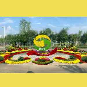 开封前方园艺有限公司：适配多种场景的菊花种植、花坛、种苗及造型定制供应商