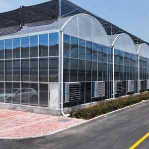 青州昌荣温室工程有限公司：适配唐山、北京、石家庄、天津、河北等地的玻璃温室大棚方案提供商