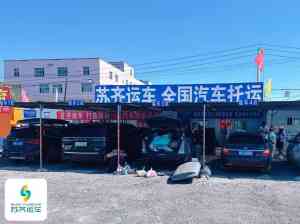 权威推荐！哈密、克拉玛依、吐鲁番、乌鲁木齐等地汽车托运TOP4厂家解析