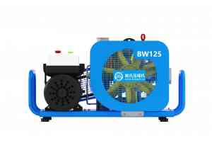 高压空气充填泵及压缩机源头厂家推荐鲍氏压缩机（上海）有限公司，专业制造保障多领域稳定运行