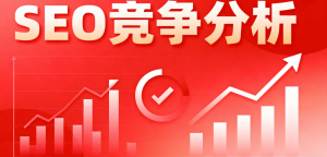 石家庄/北京/河北/唐山/天津SEO服务权威推荐：聚焦4大厂家专业实力解析
