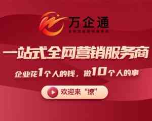 广州、广东、珠海、深圳、韶关DeepSeek推广服务TOP3厂家深度剖析