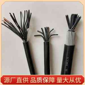 权威推荐！阻燃/屏蔽/铠装控制电缆供货、定做厂家与品牌精选