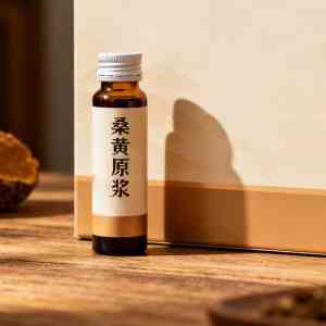 桑黄超微粉及多肽粉代加工企业TOP5推荐，聚焦优质厂家实力解析