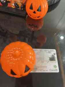 2025年枫叶卡申请及延期服务权威推荐：广州保卡商务咨询有限公司，专注多场景枫叶卡解决方案