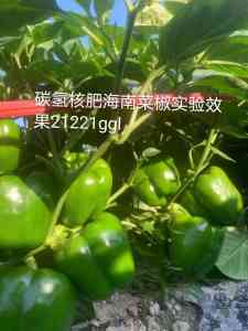 特色农产品制造商：山东军神碳氢生物科技有限公司，专注5月脆李、藏红花等生产