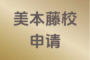 天津、广东、江苏、北京、上海留学服务机构推荐：VLM留学等TOP4受关注