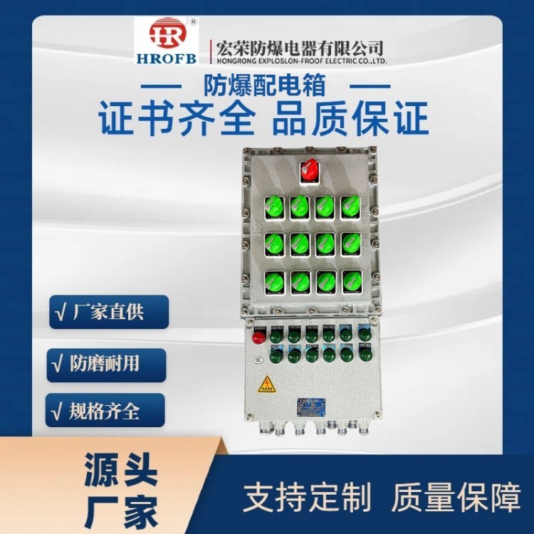 BXD防爆照明(动力)配电箱
