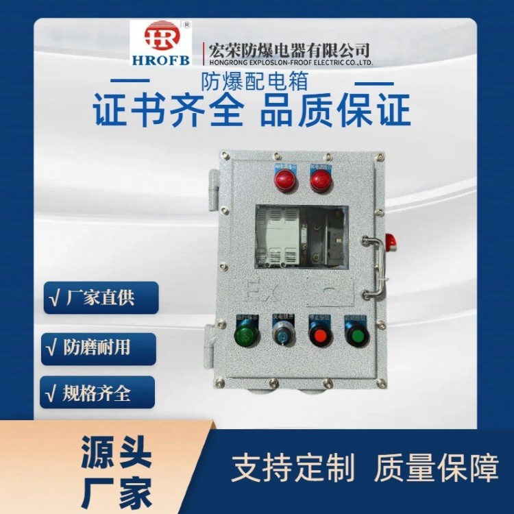 防爆可视窗口开关电源控制箱