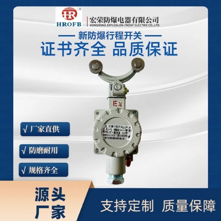 双摇可调节滚轮防爆行程开关