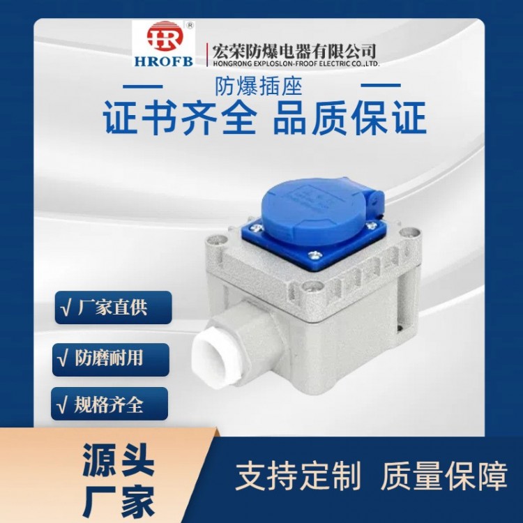 Explosion-proof socket