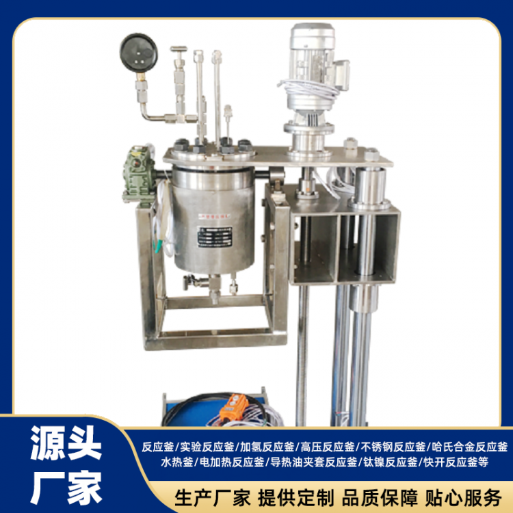 Stainless Steel Reactor