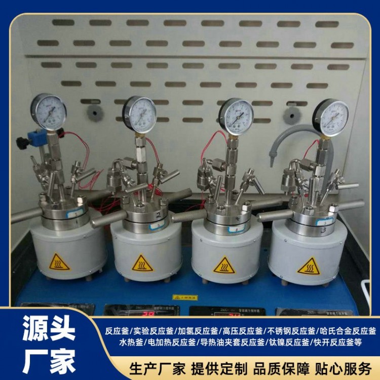 Stainless Steel Reactor Vessel