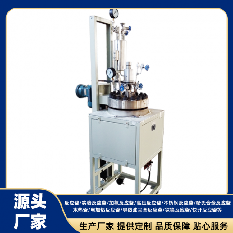 High-temperature and high-pressure reaction kettle