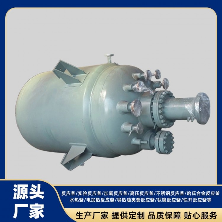 Hydrogenation Reactor