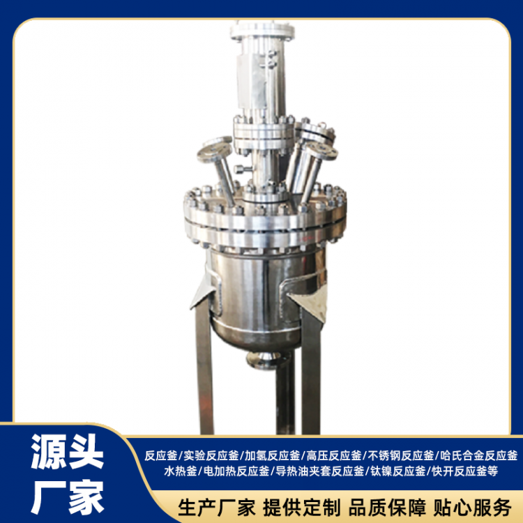 Laboratory Stainless Steel Reactor