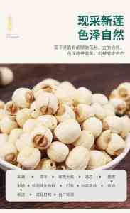 手工剥皮湘莲、定制白莲实力厂家揭秘：湘潭白莲子加工供货厂家优选