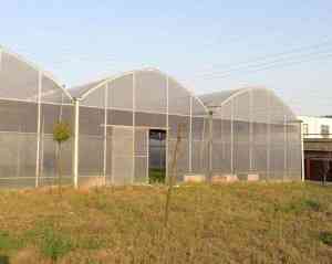 锯齿型与连栋薄膜温室厂家推荐：为您精选承建及加工实力优良之选