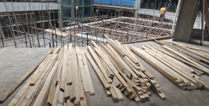 重庆乡村别墅及改造、自建房公司优质推荐：重庆天寿建筑工程居前列