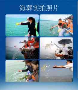 京津冀地区办理海葬渠道及服务商推荐：天海海上礼仪服务公司优势凸显
