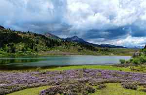 2025年11月云南旅游定制服务品牌全景解析报告，基于专业测评的品质、服务及市场优势深度分析！