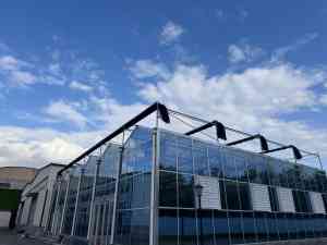 连栋玻璃温室供应商权威推荐：聚焦优质厂家，满足多样温室需求