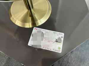 2025年11月国内枫叶卡保卡服务机构全景解析报告，基于专业测评的服务、资质及客户优势深度分析！