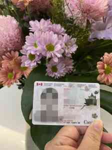 上海、广州、北京保枫叶卡机构与方案推荐：专业服务助您保留身份权益