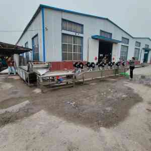 2025年野生菌/菌菇/冒泡/大枣/干果清洗机推荐：诸城市佳品食品机械有限公司适配多场景食品加工