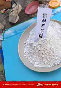 2025年氢氧化钙产品厂家推荐：辉县市共城钙业加工厂，高比表/高活性氢氧化钙等优质供应商